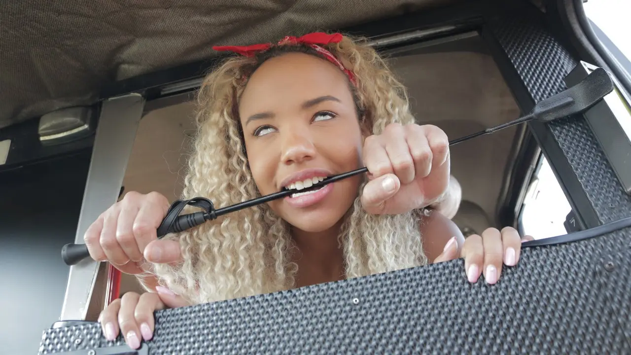 The Dominatrix and the Big D - Fake Taxi